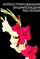 Новак Ф. Иллюстрированная энциклопедия растений