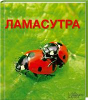 Лесовикова Елена Ламасутра 978-966-14-4702-7