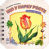 Верховень Володимир Що у парку росте. (картонка) 978-966-08-4309-7