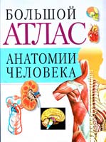 Воробьев Владимир Большой атлас анатомии человека 978-985-16-0209-0