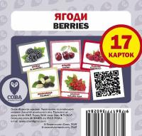  Навчальний посібник Ягоди / Berries 17 карток 9786177360284