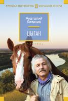 Калинин Анатолий Цыган 978-5-389-10403-7