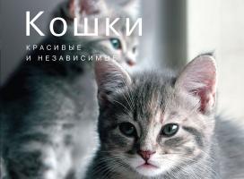 Авени Мэри-Кейт Кошки. Красивые и независимые 978-5-389-05621-3