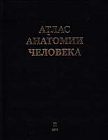 Атлас анатомии человека. В 3 т. Т. 2. Синельников 966-96529-7-9