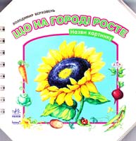 Верховень Володимир Що на городі росте. Назви картинку. (картонка)