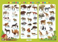 Корнєєва О. Плакат «Свійські та дикі тварини» 2255555500538