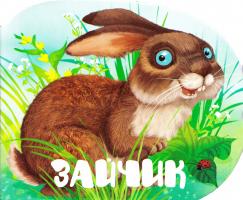 Жученко Мария Зайчик 978-966-942-031-2