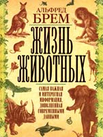Брем Альфред Жизнь животных. Самая важная и интересная информация, дополненная современными данными 978-5-17-052450-1