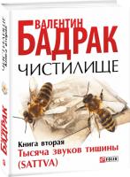 Бадрак Валентин Чистилище. Тысяча звуков тишины (Sattva): роман в двух книгах. Книга 2. 978-966-03-6998-6