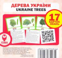  Дерева України. 17 карток знань 