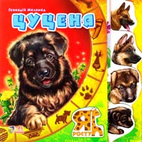 Меламед Геннадій Цуценя. (картонка)