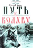 Валентин Гнатюк, Олег Мамаев Путь к Волхву 978-5-413-00885-0