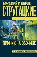 Стругацкий Аркадий, Стругацкий Борис Пикник на обочине 978-5-17-093041-8