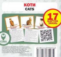Коти. 17 карток знань