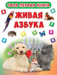  Книга-картонка А-4 