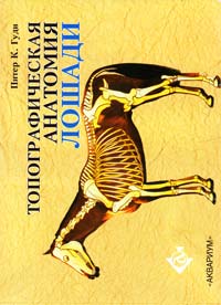 Гуди Питер К. Топографическая анатомия лошади 5-98435-578-7
