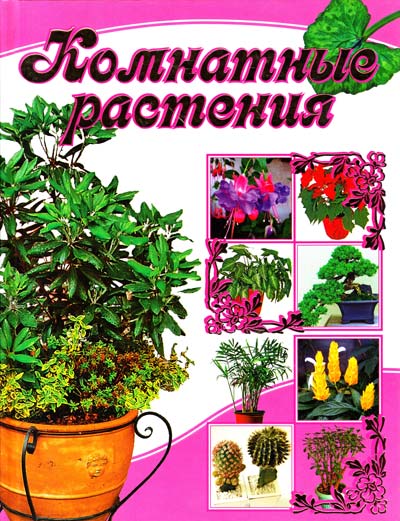 Бурлуцкая Л. Комнатные растения