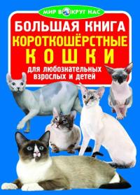  Большая книга. Короткошерстные кошки 978-966-936-006-9