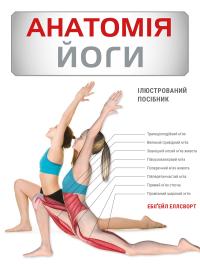Ебігейл Еллсворт Анатомія йоги. Ілюстрований посібник 978-617-548-515-6