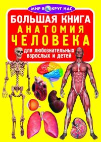  Большая книга. Анатомия человека 978-966-936-149-3