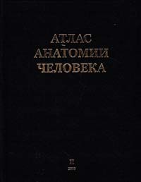  Атлас анатомии человека. В 3 т. Т. 2. Синельников 966-96529-7-9