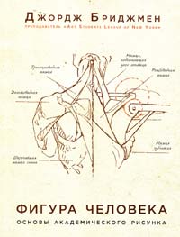 Бриджмен Джордж Конструктивная анатомия : руководство по рисованию фигуры человека 978-5-699-57057-7