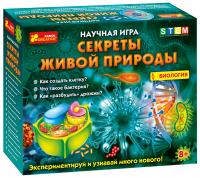  Научная игра 