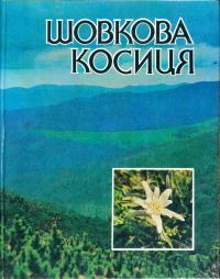 Шовкова косиця