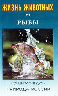 Васильева Е. Природа России: жизнь животных. Рыбы 5-237-02585-4