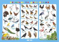Корнєєва О. Плакат «Свійські та дикі птахи» 2255555500767