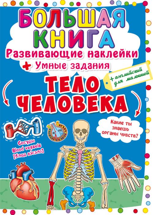 Большая книга. Развивающие наклейки. Умные задания. Тело человека