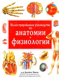 Доктор Джеймс Бивэн Иллюстрированное руководство по анатомии и физиологии 5-86290-320-8