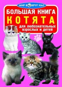  Большая книга. Котята 978-966-936-717-4